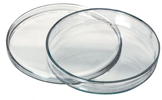 PETRI DISH 120MM